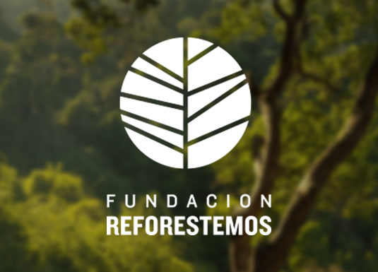 Falabella dona más de 200 mil árboles a través de Fundación Reforestemos